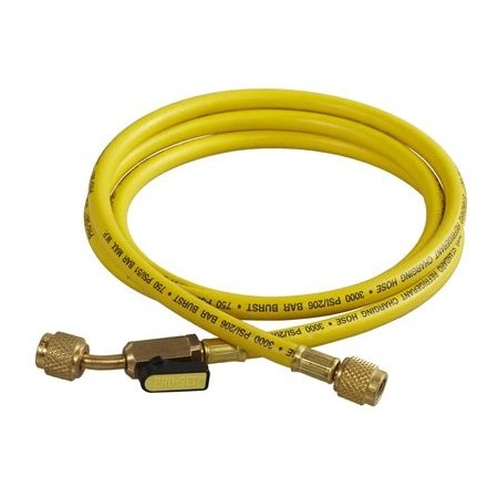 HOSE 6' STANDRD W/ BALL VALVE